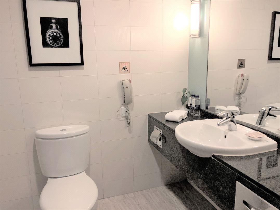 Grand Dynasty Culture Hotel Xi'An Tây An Ngoại thất bức ảnh